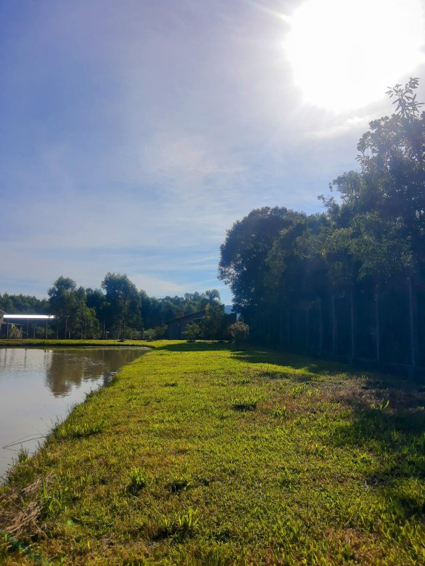  - Sítio à venda em Morro Reuter, Planalto, 4.240,00m²