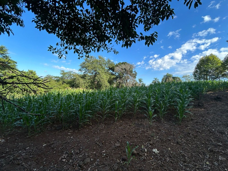 Terreno à venda - Travessão,Dois Irmãos