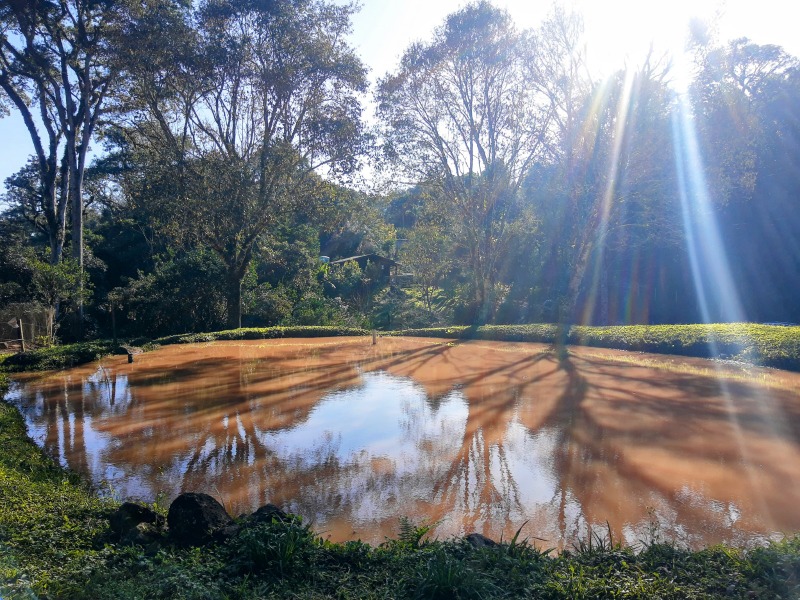 Chácara à venda com 3 quartos, 200.00m² - Becker,Dois Irmãos