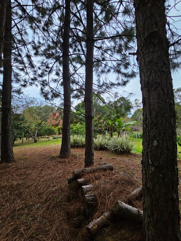  - Sítio à venda em Santa Maria do Herval, Padre Eterno Ilges, 7.734,00m²