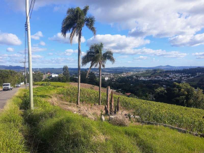 Terreno à venda - Vale Esquerdo,Dois Irmãos