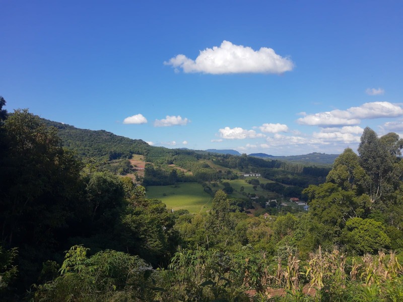  - Área à venda em Dois Irmãos, Vale Direito, 16.270,00m²