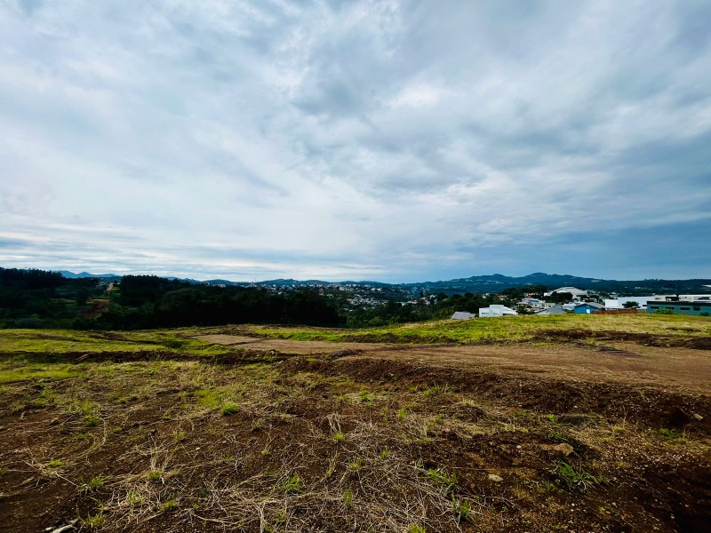 Terreno à venda - Bela Vista,Dois Irmãos