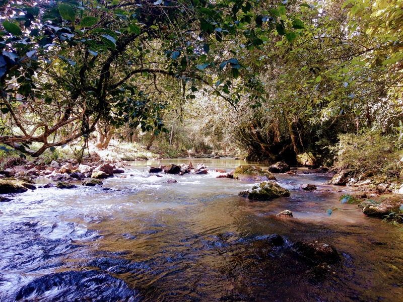 Sítio à venda - Linha Marcondes,Santa Maria do Herval