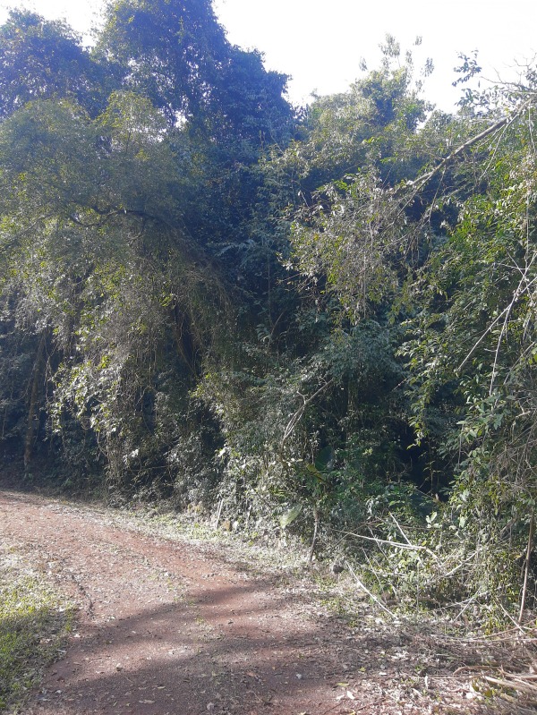  - Área à venda em Dois Irmãos, Travessão, 10.490,00m²