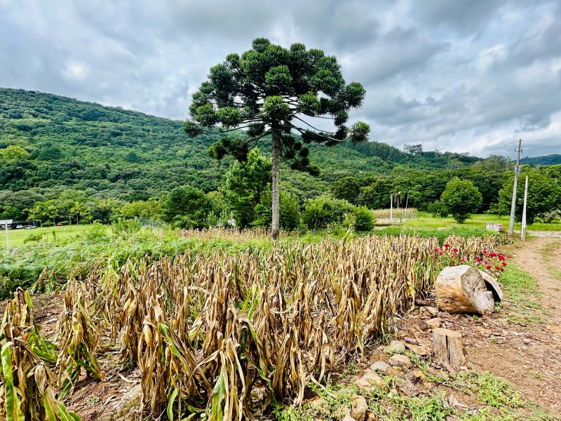 Terreno à venda - Padre Eterno Baixo,Santa Maria do Herval