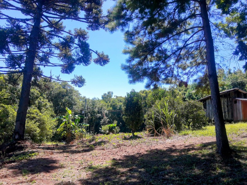 Chácara à venda com 2 quartos - Padre Eterno,Santa Maria do Herval