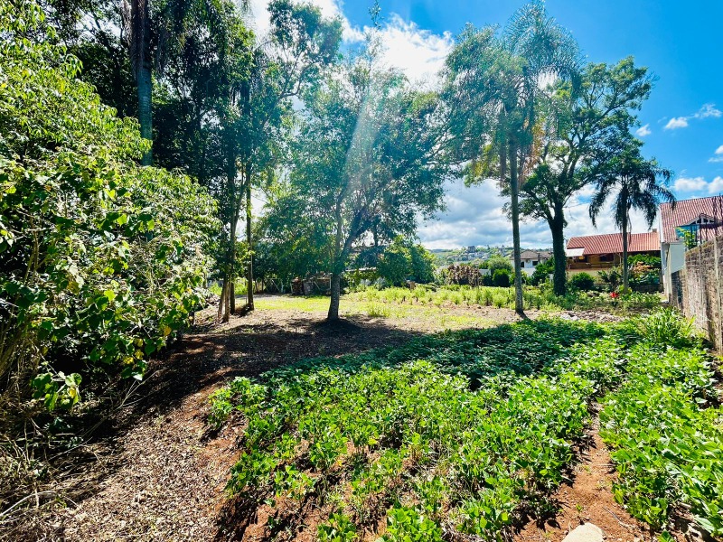 Terreno à venda - Vale Verde,Dois Irmãos