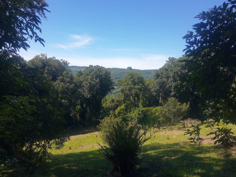 Chácara à venda com 1 quarto, 50.00m² - Walachai,Morro Reuter