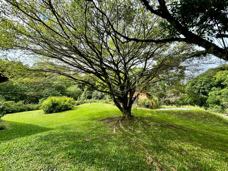  - Chácara à venda em Santa Maria do Herval, Padre Eterno Ilges, com 3 quartos, 165.00m²