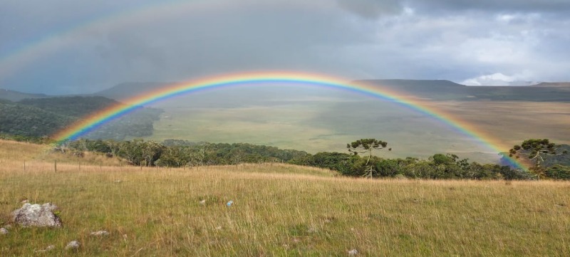 Fazenda à venda com 2 quartos, 100.00m² - Fazenda Santana,Cambará do Sul