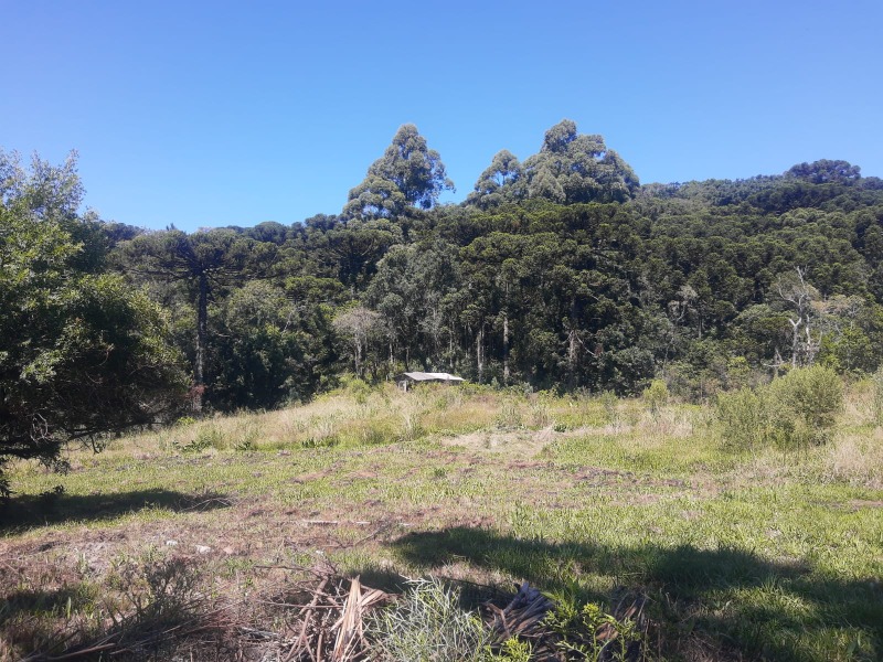 Sítio à venda - São José do Herval,Morro Reuter
