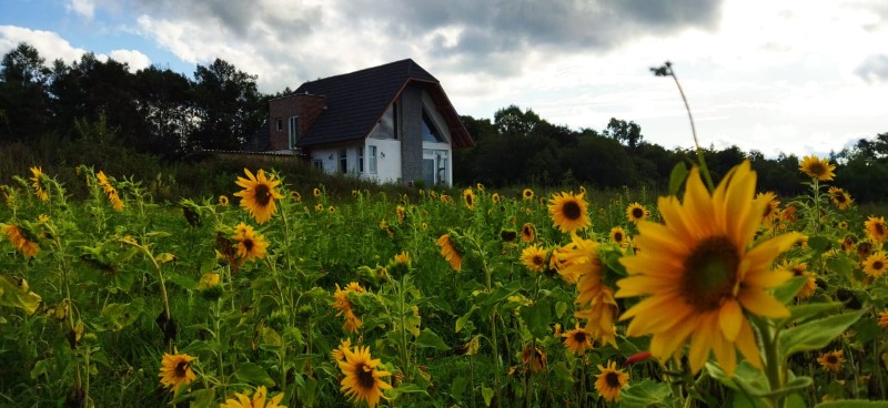 Chácara à venda com 2 quartos, 135.00m² - Boa Vista do Herval,Santa Maria do Herval