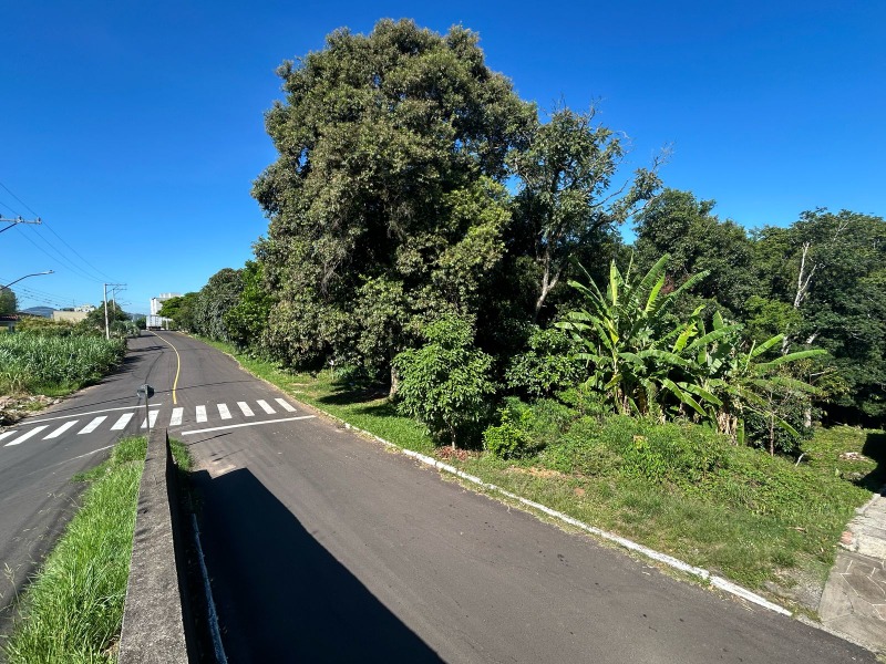  - Área à venda em Dois Irmãos, Floresta, 5.416,84m²