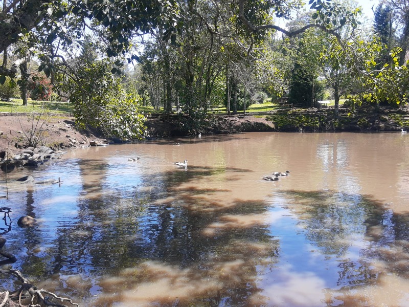Chácara à venda com 3 quartos, 200,00m² - Padre Eterno Ilges,Santa Maria do Herval