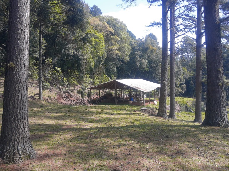  - Chácara à venda em Morro Reuter, Centro, com 5 quartos, 400.00m²