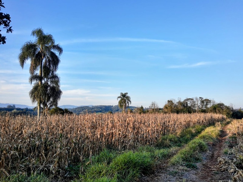 Área à venda - Travessão,Dois Irmãos