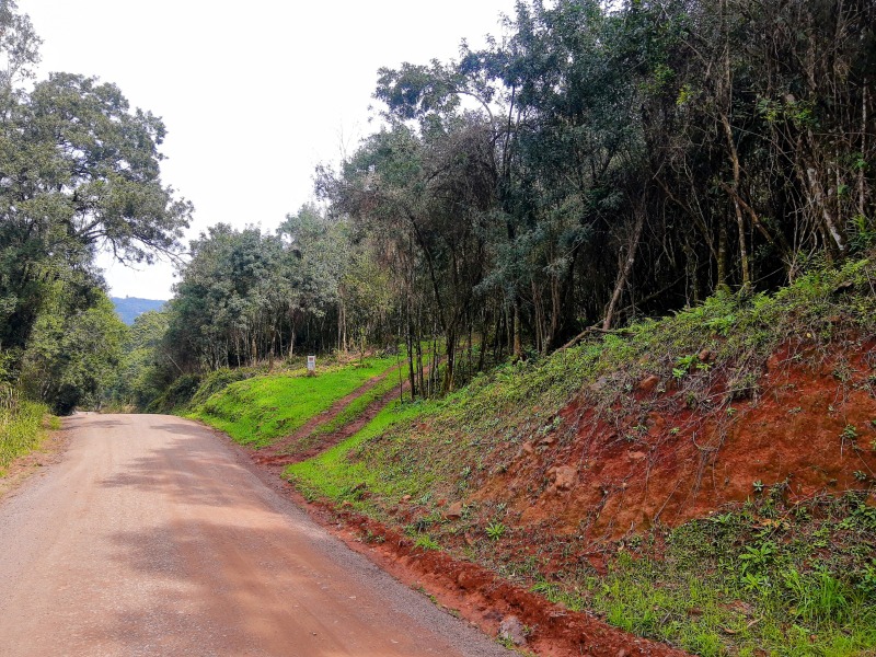  - Sítio à venda em Santa Maria do Herval, Padre Eterno, 20.000,00m²