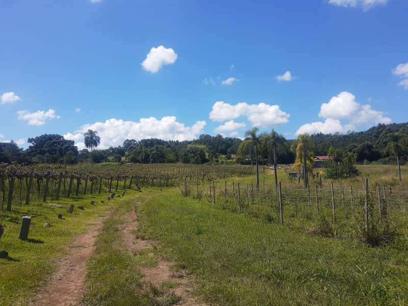 Chácara à venda com 3 quartos, 160.00m² - Nova Renânia,Santa Maria do Herval