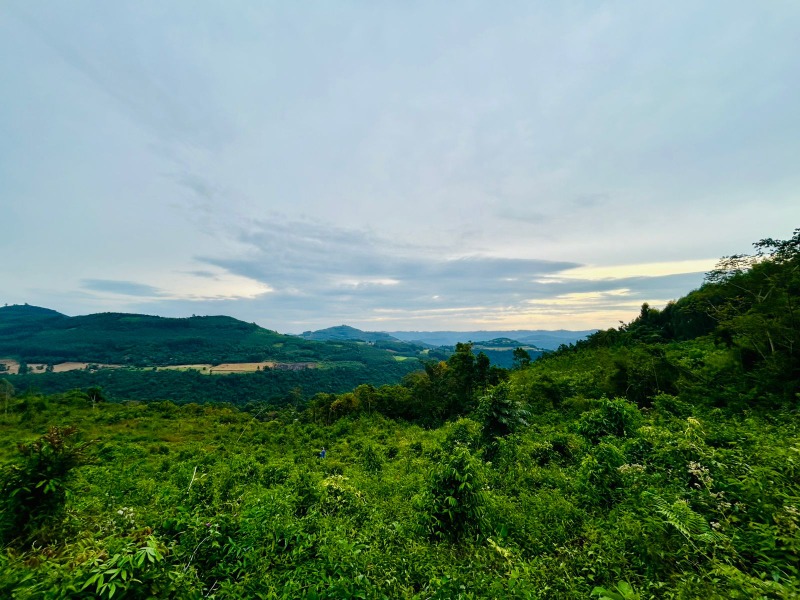 Chácara à venda - Linha Cristo Rei,Morro Reuter