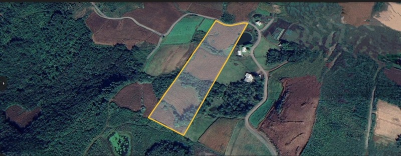  - Chácara à venda em Santa Maria do Herval, Alto Padre Eterno, 31.000,00m²