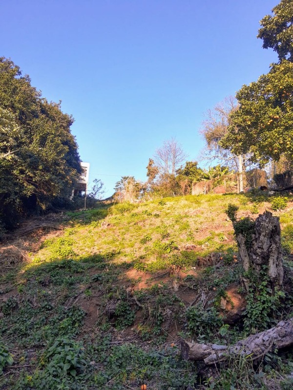  - Terreno à venda em Dois Irmãos, Floresta, 625.50m²