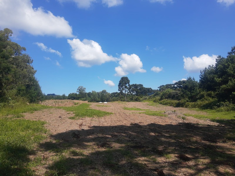  - Chácara à venda em Santa Maria do Herval, Nova Renânia, com 3 quartos, 160.00m²