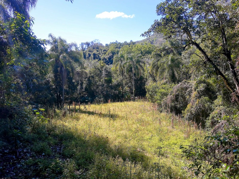 Terreno à venda - Centro,Picada Café